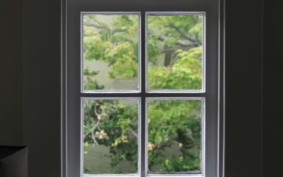 A window with trees outside.