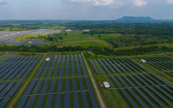 A solar farm on a sunny day