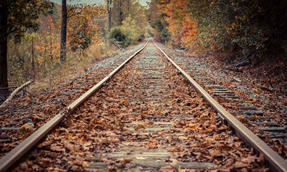 Fallen autumn leaves covering a rail track in a forest.