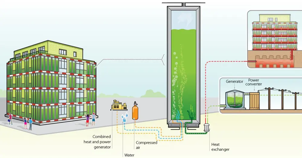 A schematic showing how the biomass and heat generated can be used to heat the building or store heat.