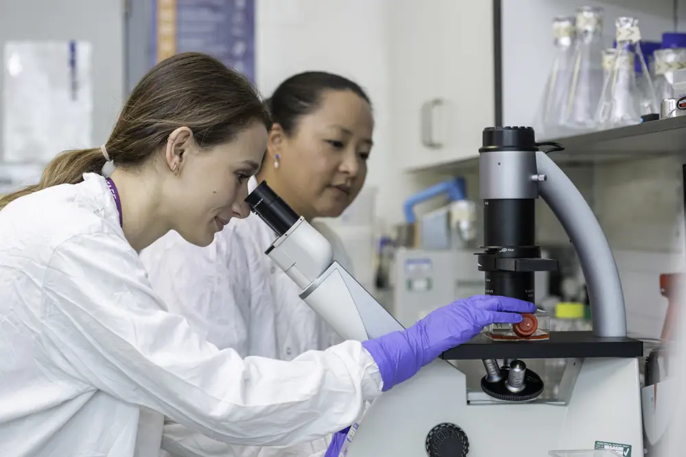 A woman wearing a lab coat and purple gloves looks at a red item using a microscope, while a second woman wearing a lab coat looks on.