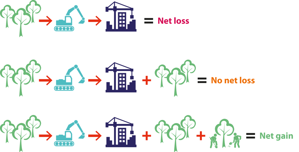 Icons illustrating that after construction, no action results in net loss, where as restoring or creating new habitat can result in no net less or even net gain.s 