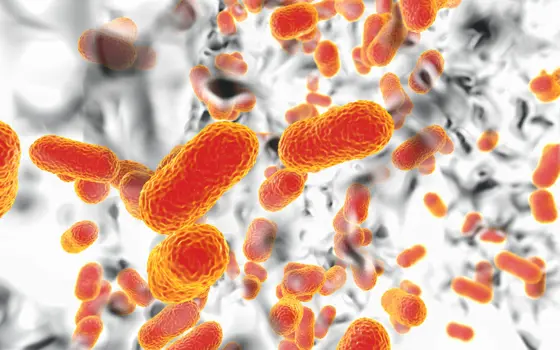 Digital rendering of orange, capsule shaped bacteria floating on a white background.