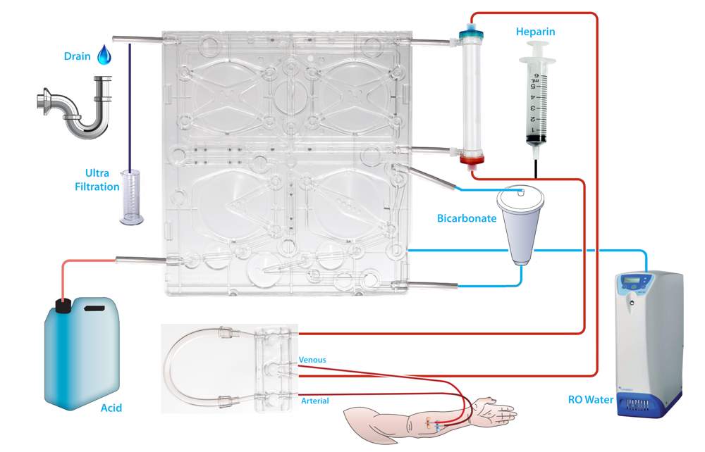 A schematic of an SC+ haemodialysis machine 