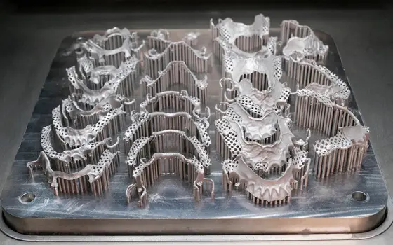 A flat build plate containing multiple metal dental products attached to the plate by many vertical pins.