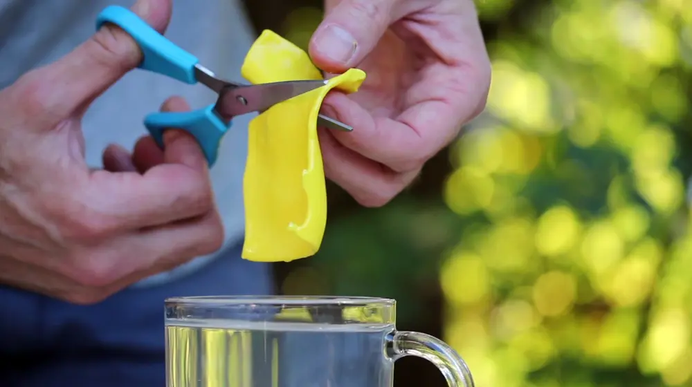 A person cutting a piece of yellow FORMcard with scissors over a cup of water outside.