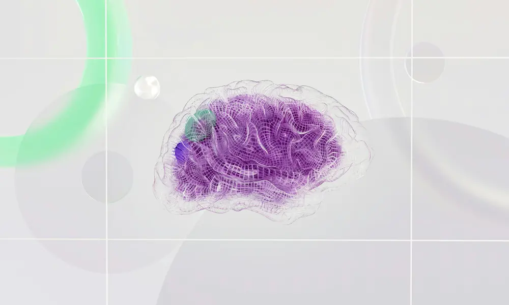 An artistic rendering of a brain, with a grid-like pattern on the grooves of its transparent outer shell, and a purple interior seen through the shell.