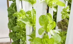 Vertical farming system.