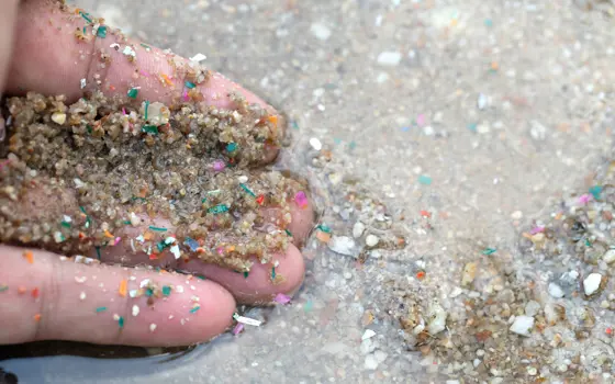 Image shows the fingers from a hand, which is slightly in water having scooped up grains of sand that contain small colourful microplastics